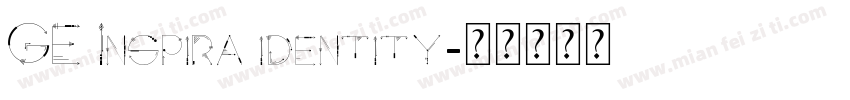 GE Inspira identity字体转换